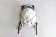 SEALSON(�����륽��) "DROP 14 DAYPACK"