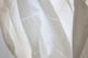 NICENESS(�ʥ����ͥ�) "C.JOSHUA(�ϥ�ɥ��åȥ�ƥ����ե��֥�å������ץ󥫥顼�����)"