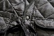 Engineered Garments (���󥸥˥����ɥ�������) ��Liner Vest - Polyester Diamond Double Face Quilt��