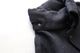 KAPTAIN SUNSHINE(����ץƥ󥵥󥷥㥤��) "Wool Serge Hunter Jacket"