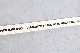 ��limited��OBANA SWIMMING CLUB �� ANCHOR INC.(���Х� �����ߥ� ����� �� ���󥫡�����) "BELT 1243-AC02"
