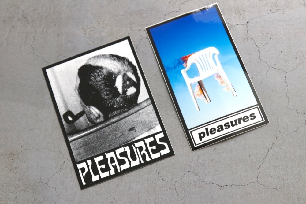 PLEASURES (ץ쥸㡼) STICKER