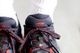 ��limited��ALTRA �� and wander(����ȥ� �� ����ɥ�����) "EXPERIENCE WILD 3+"