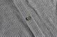Porter Classic(�ݡ��������饷�å�) "H/W BEATNIK BORDER OPEN POLO SHIRT"