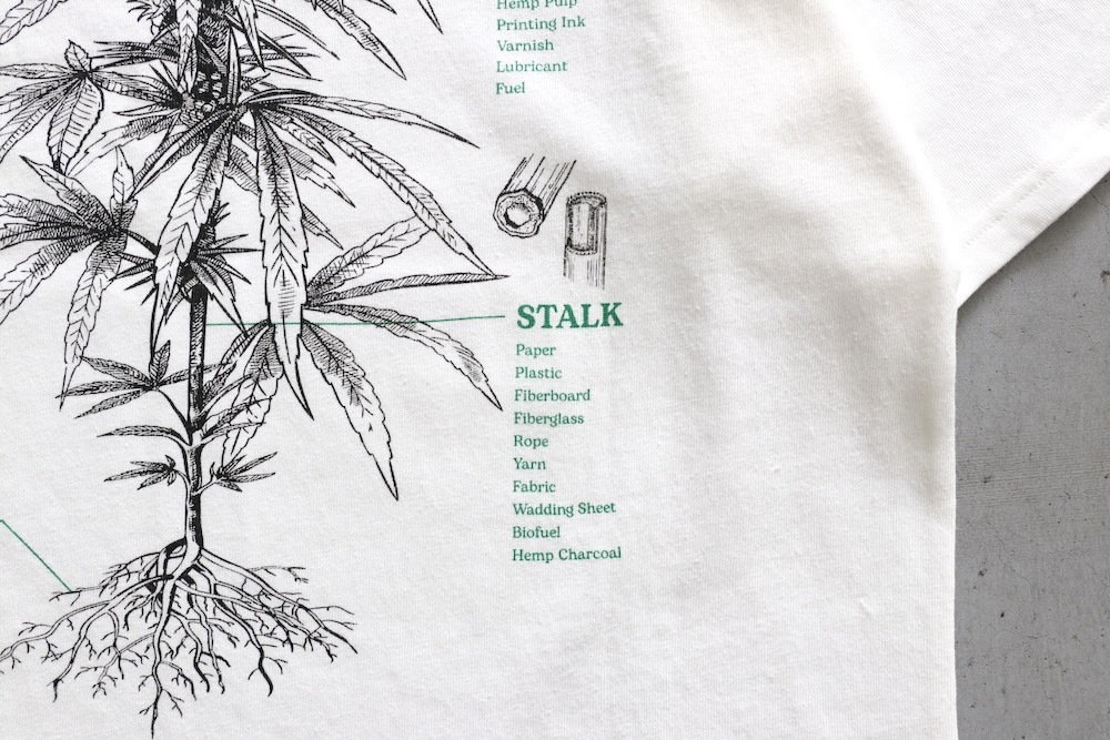MANASTASH (�ޥʥ����å���) "HEMP TEE TGP"