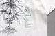 MANASTASH (�ޥʥ����å���) "HEMP TEE TGP"