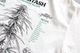 MANASTASH (�ޥʥ����å���) "HEMP TEE TGP"