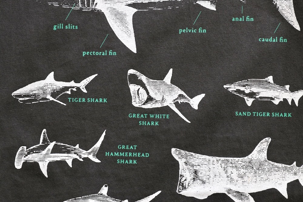 MANASTASH (�ޥʥ����å���) "PUMICE TEE SHARK"