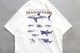 MANASTASH (�ޥʥ����å���) "PUMICE TEE SHARK"