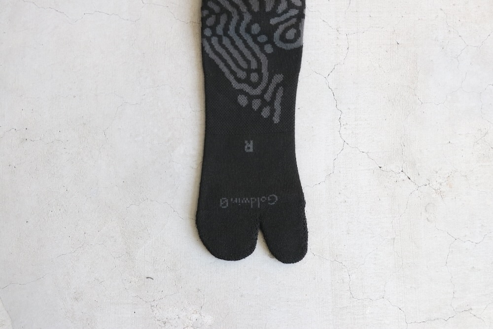 GOLDWIN 0 (������ɥ����� ����) "Reaction Diffusion Socks"
