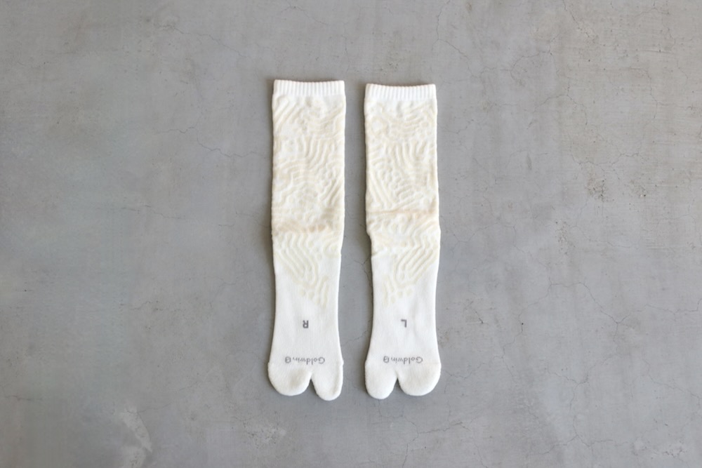 GOLDWIN 0 (������ɥ����� ����) "Reaction Diffusion Socks"