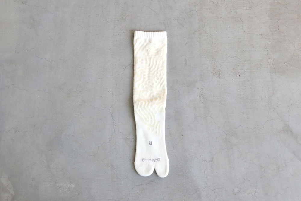 GOLDWIN 0 (������ɥ����� ����) "Reaction Diffusion Socks"