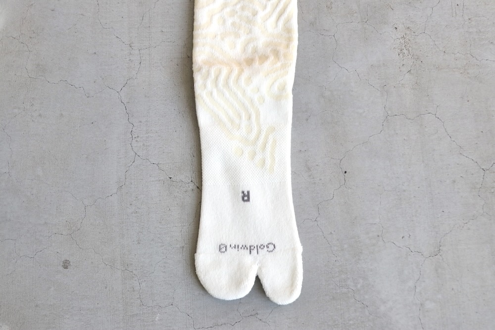 GOLDWIN 0 (������ɥ����� ����) "Reaction Diffusion Socks"