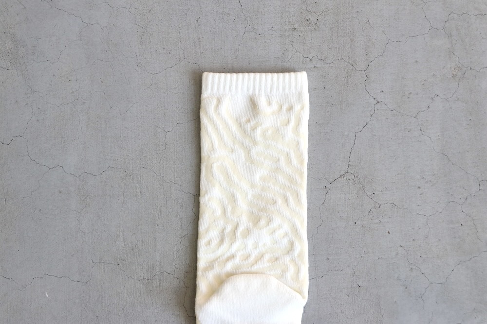 GOLDWIN 0 (������ɥ����� ����) "Reaction Diffusion Socks"