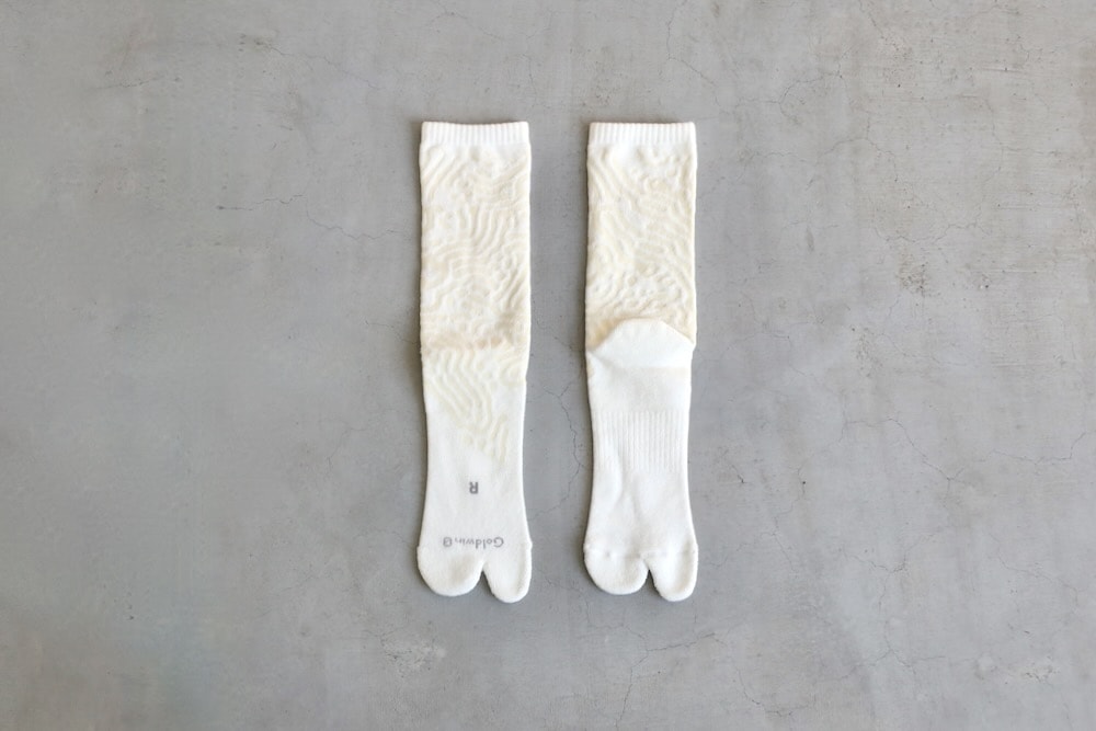 GOLDWIN 0 (������ɥ����� ����) "Reaction Diffusion Socks"
