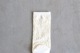 GOLDWIN 0 (������ɥ����� ����) "Reaction Diffusion Socks"