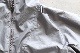 WMGOLDWIN FOR WM (ɥ  ޥƥ) "UTILITY JACKET"