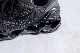 ں١MIZUNO (ߥ) "WAVE PROPHECY LS"