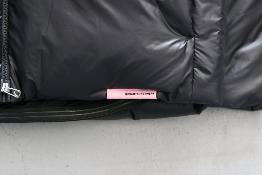 limited GOLDWIN  OAMC (ɥ  ॷ) "Down Jacket"