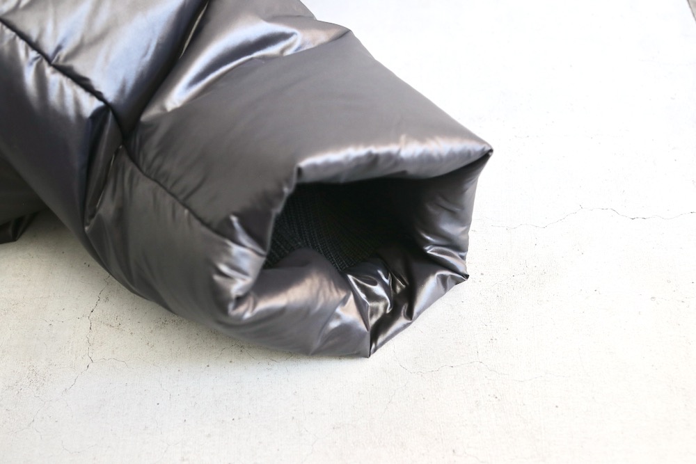 limited GOLDWIN  OAMC (ɥ  ॷ) "Down Jacket"