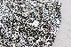 itten. (���åƥ�) "itten 03 easy trousers - LIBERTY FABRIC-"