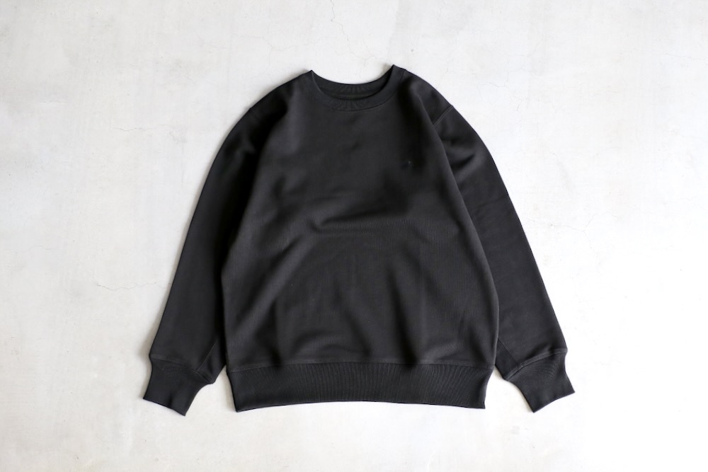 THE NORTH FACE PURPLE LABEL (�� �Ρ��� �ե����� �ѡ��ץ� �졼�٥�) "Field Crewneck Sweatshirt"