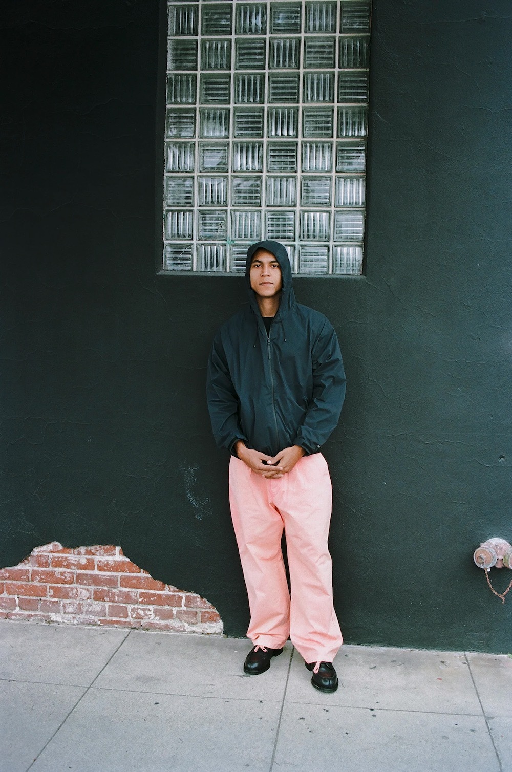 VAINL ARCHIVE(�������ʥ� ���������� ) "Live-pt-d"