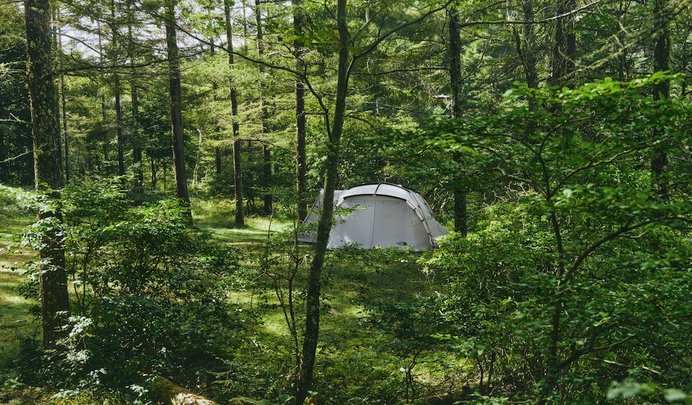 [10% > 20%OFF] THE NORTH FACE (�� �Ρ��� �ե�����) "Nautilus 2��2"