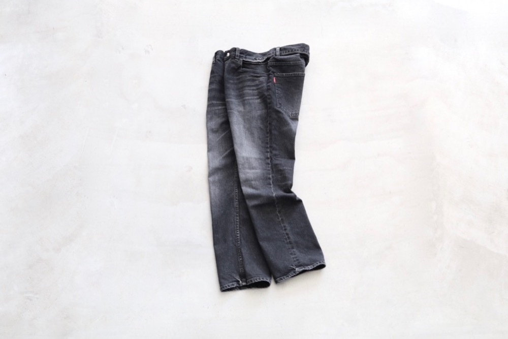JAPAN MADETD by itten. (ƥǥ Х åƥ) "Everybody's 5pocket pants-JOHANNES-H/W"
