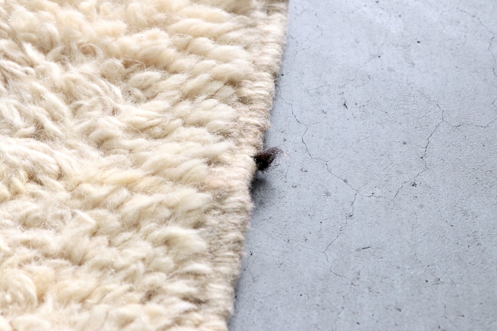 LIGHT YEARS(�饤�� ���䡼��)"AIT OUAGHARDA - W181cm �� H114cm- AO-004"