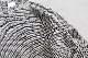 ROA (����) "Hemp Crewneck"