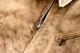 Needles(�ˡ��ɥ륺) "Zipped Work Jacket - Duck Canvas / Kakishibu Dye"