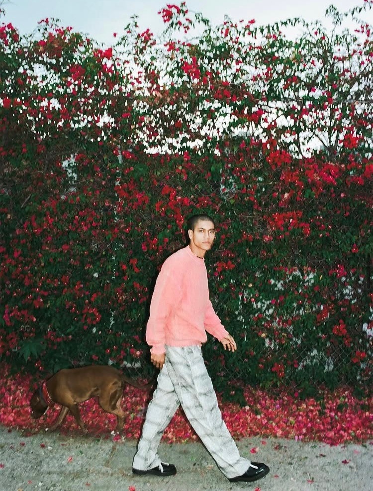 VAINL ARCHIVE (�������ʥ� ����������) "Jeff-D"