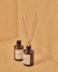 APFR(ݥơ ե쥰) "REED DIFFUSER"