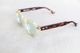 NOCHINO OPTICAL (�Υ��Υ��ץƥ�����) "NOCHINO #5"