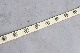 HTC / HOLLYWOOD TRADING COMPANY (�������ƥ�������) "HTC BELT #151"