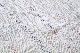 LIGHT YEARS(�饤�� ���䡼��) ��VINTAGE QUILT -0589-��