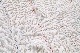 LIGHT YEARS(�饤�� ���䡼��) ��VINTAGE QUILT -0579-��