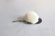 KLATTERMUSEN(����å���ࡼ����) "Mesh Cap 2.0"