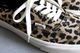 ��unisex��VANS(������) "Authentic -LEOPARD BLACK/INCENSE- "