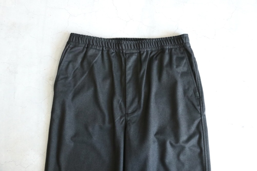 DAIWA PIER39(������ �ԥ������ƥ����ʥ���) "TECH EASY TROUSERS FLANNEL"
