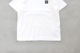 STONE ISLAND(ȡ󥢥 ) "60/2 COTTON JERSEY SHORT SLEEVE TEE"