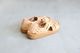 MALIBU SANDALS(�ޥ�֥������) "CANYON"