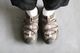 HOKA(�ۥ�)"U ORA PRIMO -LIGHT ROAST / ASPHALT GREY-" 
