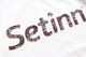 Setinn(åƥ) "Script Logo Tee"