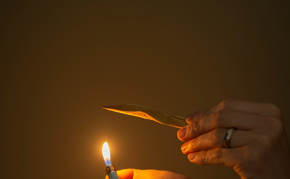 ں١Landscape products(ɥ ץ) "WHOLE TREE -PALO SANTO / PALO SANTO VOLUME BOX / PALO SANTO PLATE -"