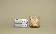 ں١Landscape products(ɥ ץ) "WHOLE TREE -PALO SANTO / PALO SANTO VOLUME BOX / PALO SANTO PLATE -"
