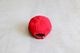 FreshService(�ե�å��奵���ӥ�) "CORPORATE CAP - RED / SKY / ROYAL BLUE -"