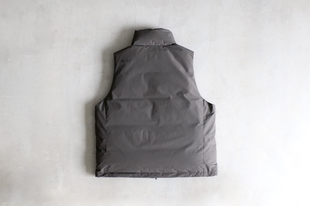 limited】DAIWA PIER39(ダイワ ピアサーティーナイン) 