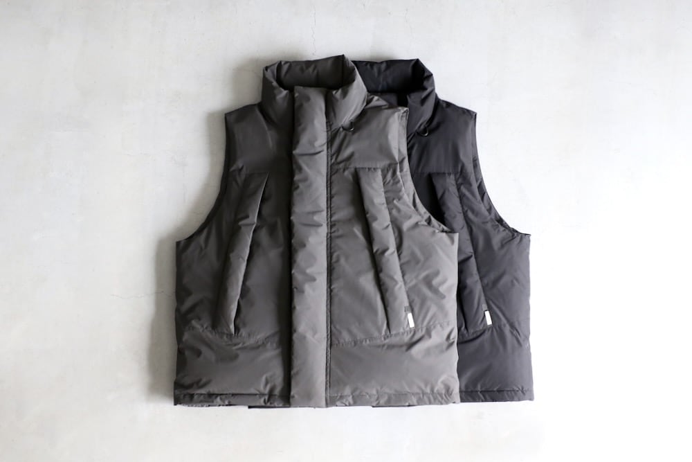 limited】DAIWA PIER39(ダイワ ピアサーティーナイン) 